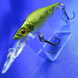 LIVE-X SMOLT [Used]