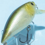 FAT PEPPER SHALLOW [Used]
