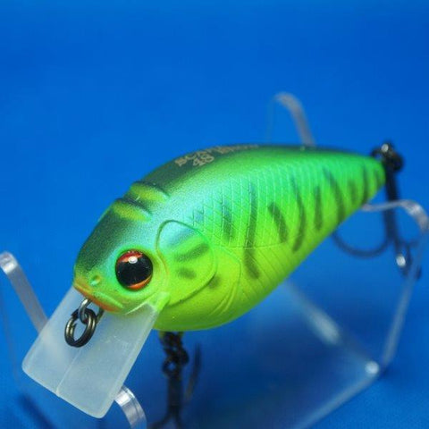 SCARE BROW 48 [Used]
