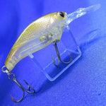 EVOKE SHAD [Used]