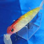 BUZZ BiLL MINNOW [Used]