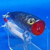 BEVY POPPER 50 [Used]