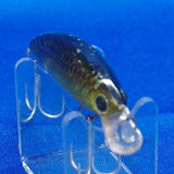 HUMP BACK MINNOW 50 SP [Used]