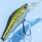 LIVE-X SMOLT [Used]