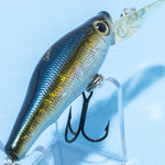 LIVE-X SMOLT [Used]