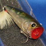 BEVY POPPER 50 [Used]