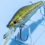 LIVE-X SMOLT [Used]