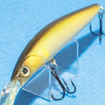 LIP IN BAIT F [Used]