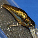 SPIN MOVE SHAD [Used]