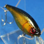 SOUL SHAD 58SP [Used]