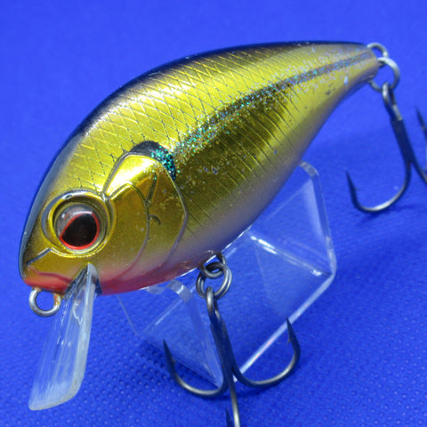 SHALLOW HAWG [Used]