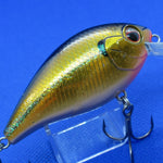 SHALLOW HAWG [Used]