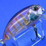 REALIS CRANK 48SR [Used]