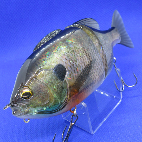 GillROID (Flat Tail) [Used]