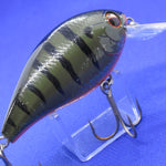 SHALLOW HAWG [Used]