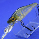 LIVE-X SMOLT [Used]