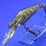 LIVE-X SMOLT [Used]