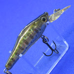 LIVE-X SMOLT [Used]