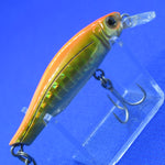 Seal Z Minnow 45R [Used]