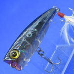 BEVY POPPER 50 [Used]