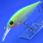 BANK SHAD [Used]