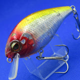 SHALLOW HAWG [Used]