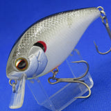 SHALLOW HAWG [Used]