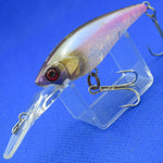 D-BILL SHAD 55MR [Used]