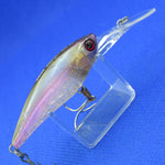 D-BILL SHAD 55MR [Used]