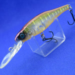 LIVE-X MARGAY TUNGSTEN [Used]