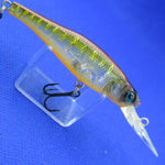 LIVE-X MARGAY TUNGSTEN [Used]