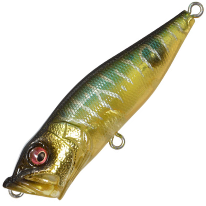 チリングキャンピープスchillins tool wal x brass チリングキャンピープスchillins tool wal x brass chillins