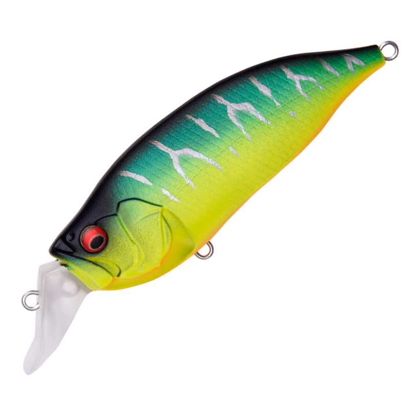 Megabass Bass Lure IXI Shad Type-R Matte Tiger