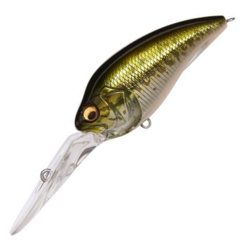 超美品 PREDATOR Z3 ラジアル 超美品 PREDATOR Z3 ラジアル 超美品 超美品 PREDATOR Z3 ラジアル 超美品 PREDATOR Z3 ラジアル 超美品