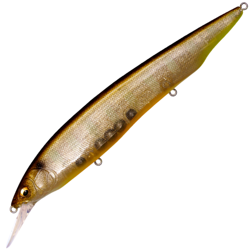 ONE BAITS ワンベイツ カナリヤ 検索用 怒歩 スキルフル fxxx ONE BAITS ワンベイツ カナリヤ 検索用 怒歩 スキルフル fxxx