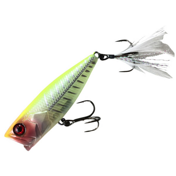 Jack All JSKPG-GS SK-Pop Grand Golden Shiner Lure : : Sports,  Fitness & Outdoors