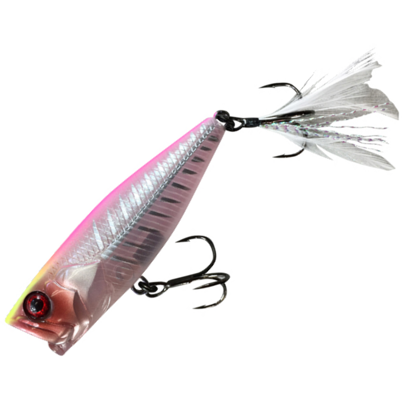 JACKALL SK-POP GRANDE HIRAMURA CUSTOM HL TÊTE ORANGE GILL JACKALL SK-POP GRANDE HIRAMURA CUSTOM HL TÊTE ORANGE GILL