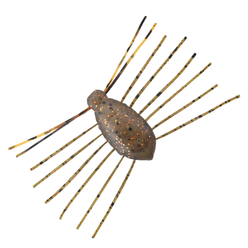 NEED BUG [Brand New]