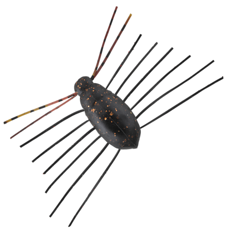 NEED BUG [Brand New]
