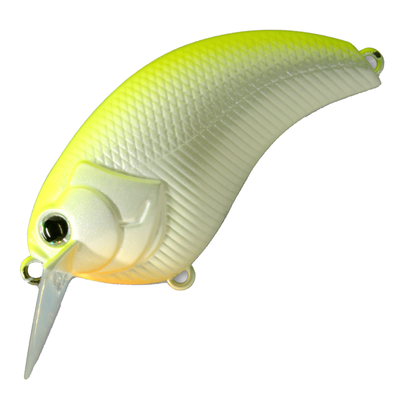 EVOKE 2.0 [Brand New]