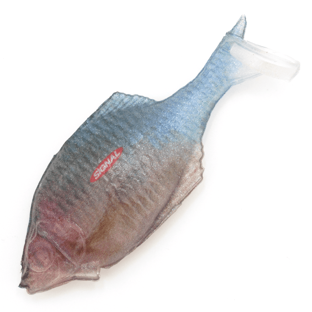 SIGNAL シグナル　黒龍　220 sinking PROT MODEL SIGNAL シグナル 黒龍 220 sinking PROT MODEL 新商品 | SIGNAL