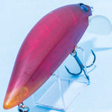 SLIP MINNOW 100 BETTA BIWAKO SPEC [Used]