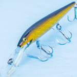 SPOON BILL MINNOW (Rattle-In) [Used]