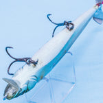 PROP DARTER 110 [Used]