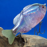 GillROID Jr. (Flat Tail) [Used]